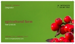cranberry_bush