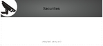 security_envelope_5