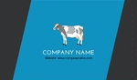 holistic_animal_143