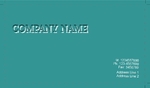 Basic_Business-card_997
