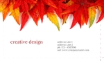 arts&photography-business-card-15-november