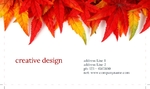 arts&photography-business-card-15-november