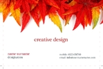 arts&photography-business-card-15-november