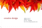 arts&photography-business-card-15-november