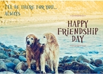 friendship_6