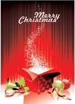 chirstmas11