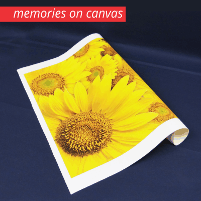 Canvas Prints		